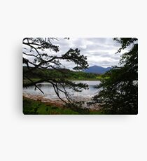 View from Inverewe Gardens Canvas Print