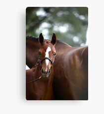 Aria Metal Print