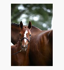 Aria Photographic Print