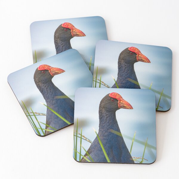 Item preview, Pukeko bird- swam-hen. New Zealand nature. designed and sold by yurix.