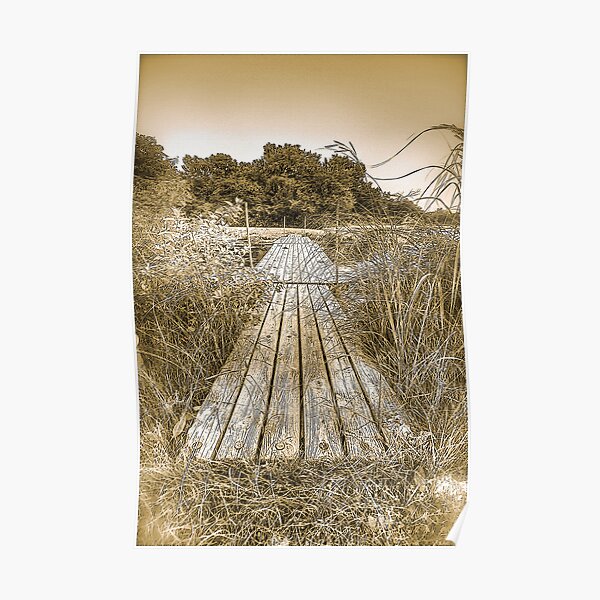 Bridge Poster