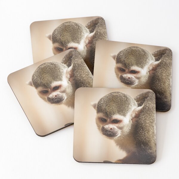 Item preview, Squirrel Monkey designed and sold by LauraKCaldPhoto.