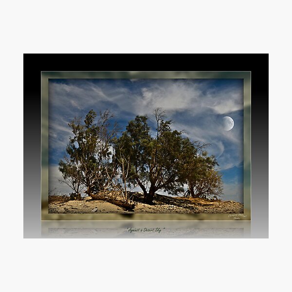 Item preview, " Against a Desert Sky " designed and sold by CanyonWind.