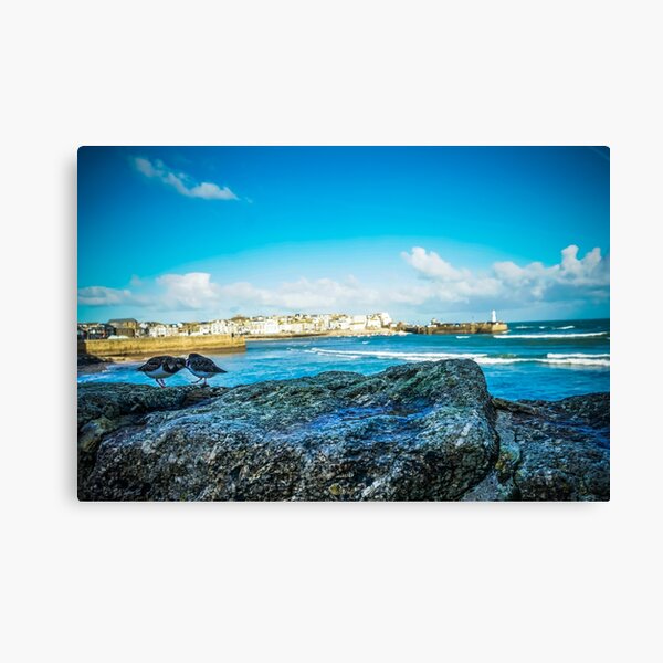 Item preview, St Ives - Cornish Turnstone designed and sold by LJPhotographyuk.