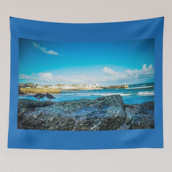 Item preview, St Ives - Cornish Turnstone designed and sold by LJPhotographyuk.