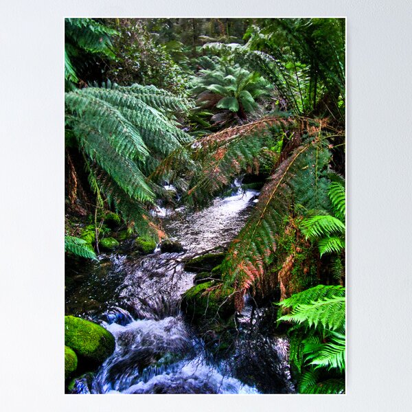 Item preview, otways designed and sold by Bruce  Dickson.