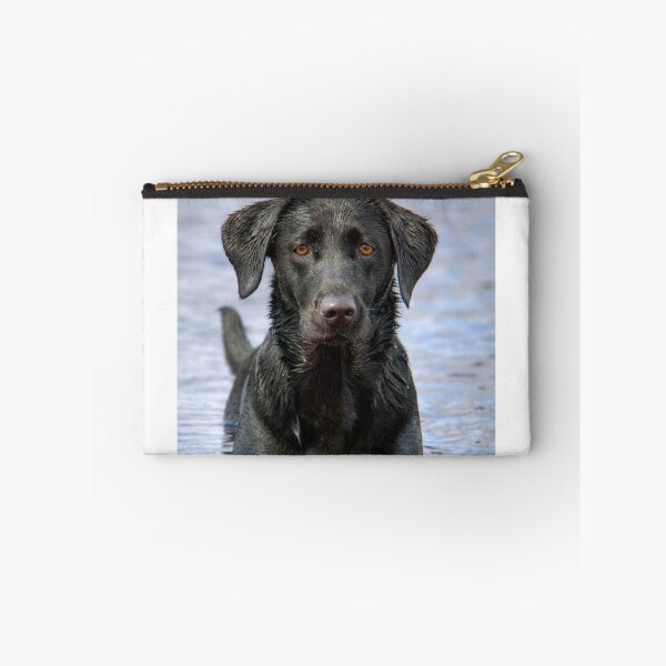 Item preview, Waiting for ball designed and sold by Rory Paterson.