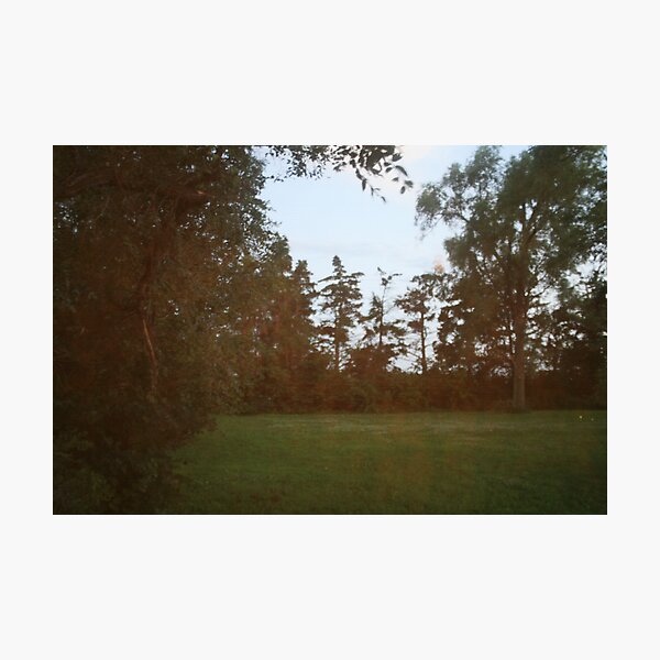 Photographic Print