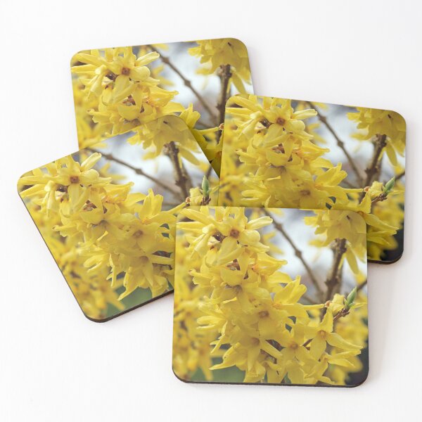 Item preview, Forsythia Flowers designed and sold by pinkal.