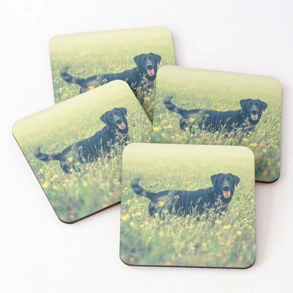 Item preview, Lazy Hazy Days designed and sold by Rory Paterson.