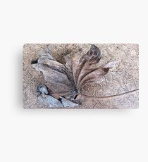 Brown on Brown Canvas Print