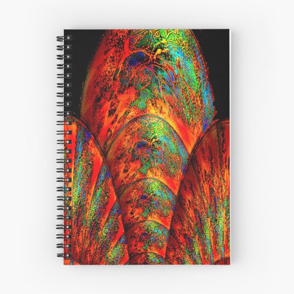 Item preview, Fans of Fractals-Silk print designed and sold by coppertrees.