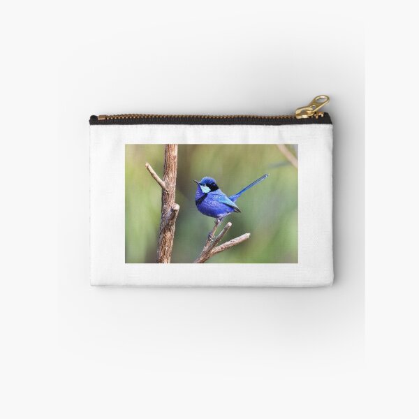 Item preview, Splendid fairy Wren, Perth Western Australia designed and sold by Marc Russo.