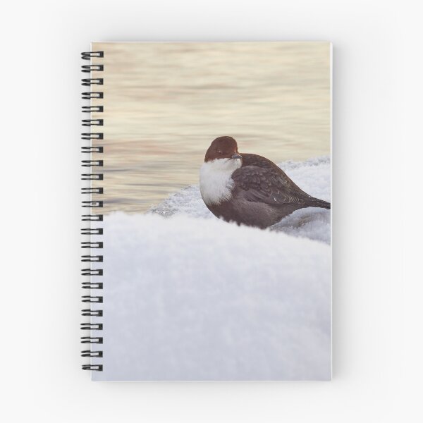 Item preview, By the stream. White-throated dipper designed and sold by Jouko Lehto Photography.