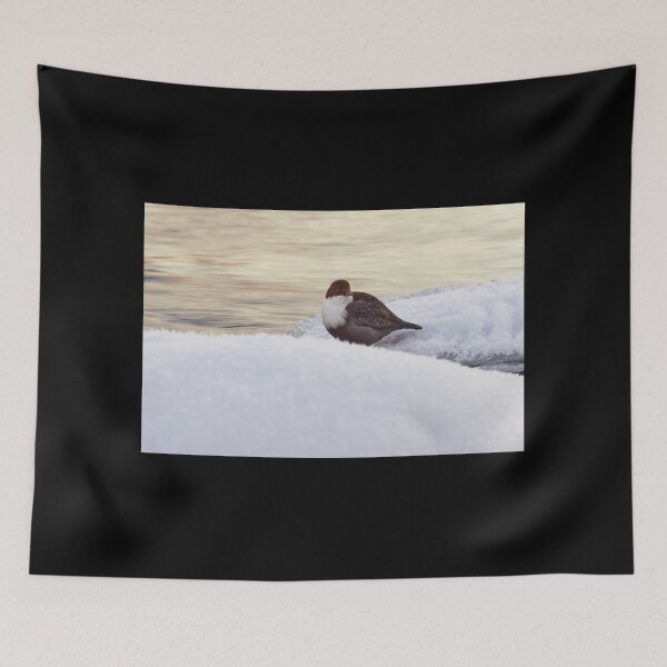 Item preview, By the stream. White-throated dipper designed and sold by Jouko Lehto Photography.