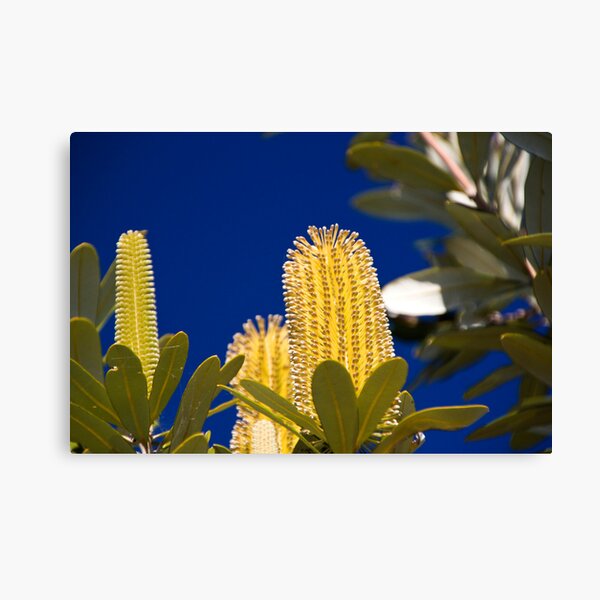 Item preview, The Banksia designed and sold by Philip Alexander.