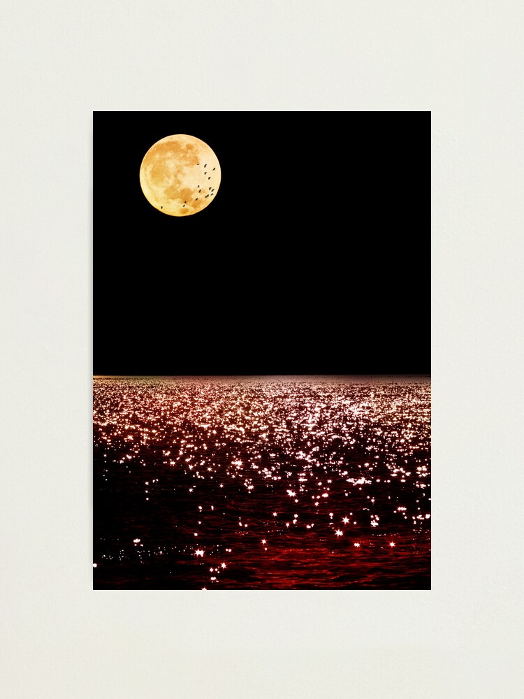 Alternate view of Sea Moon Photographic Print