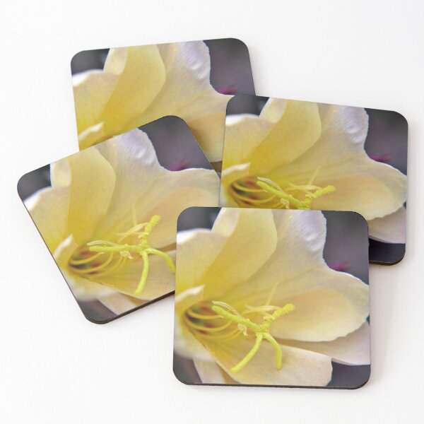 Item preview, Evening Primrose Flower A designed and sold by VikingVisual.