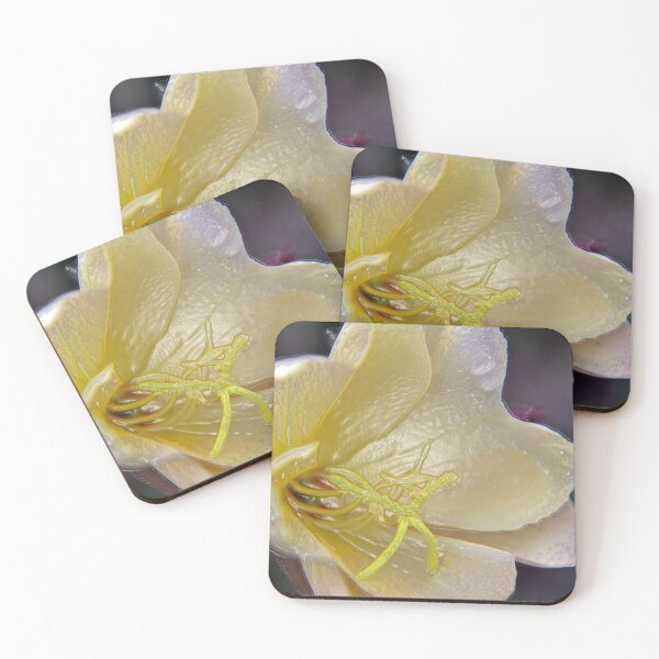 Item preview, Evening Primrose Flower B designed and sold by VikingVisual.