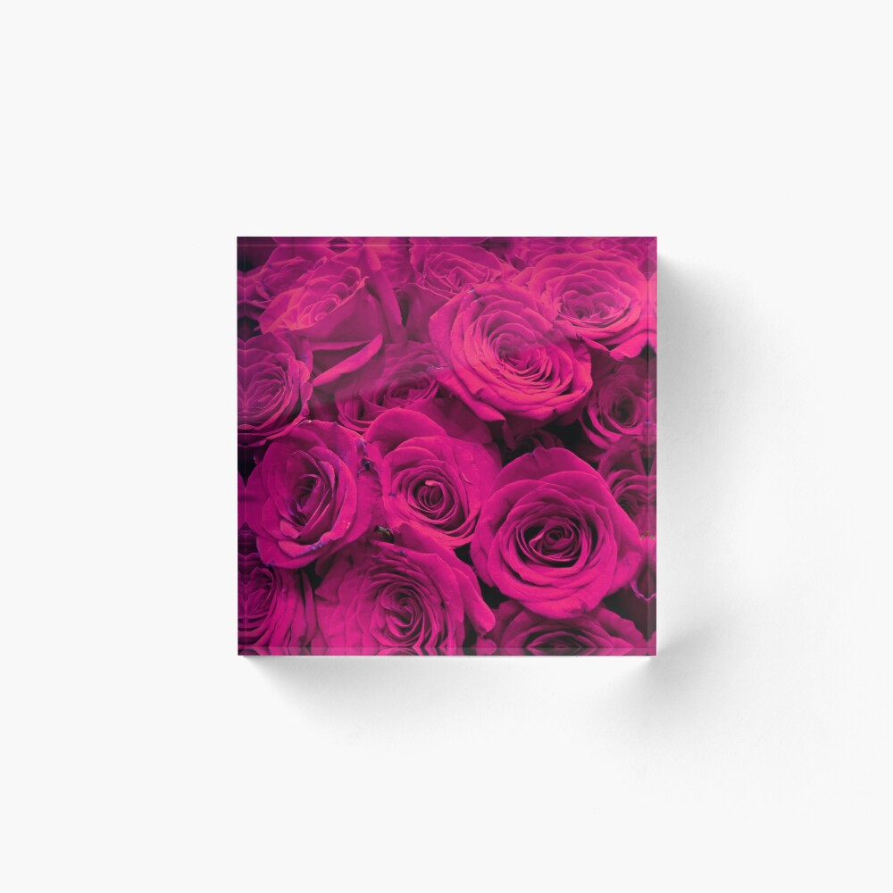 Romantische Heisse Rosa Rosen Galeriedruck Von Hollycooper Redbubble