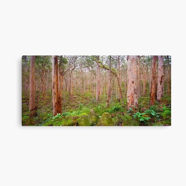 Item preview, Boranup Karri Forest, Southwest Australia designed and sold by Marc Russo.