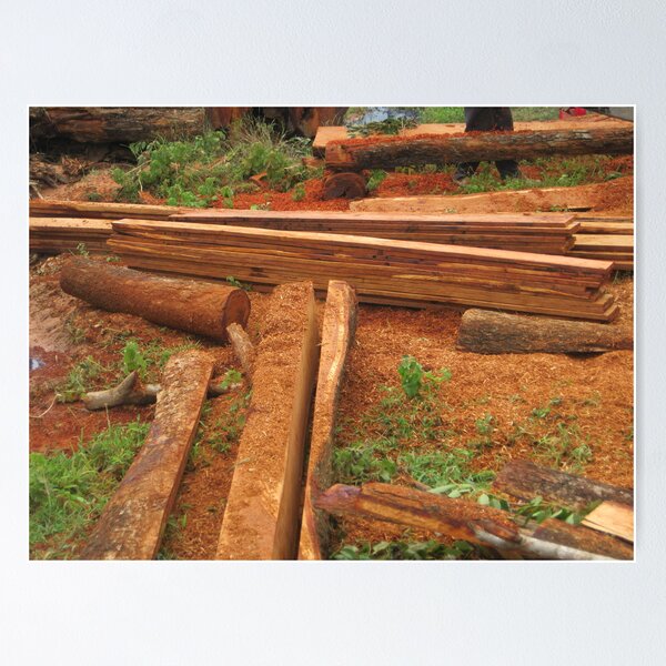 Item preview, Plank Cutters IV designed and sold by Hugh Fathers.