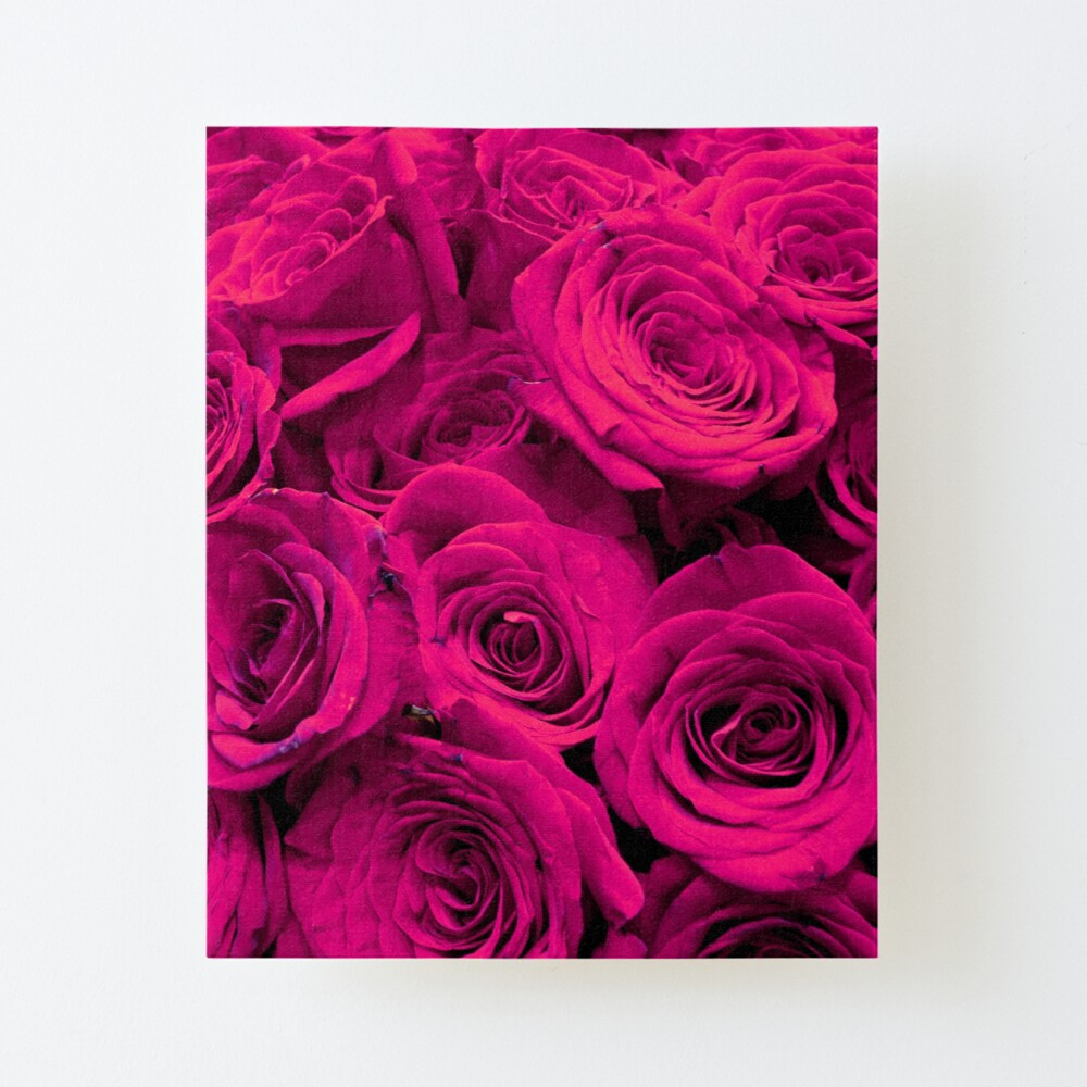 Romantische Heisse Rosa Rosen Galeriedruck Von Hollycooper Redbubble