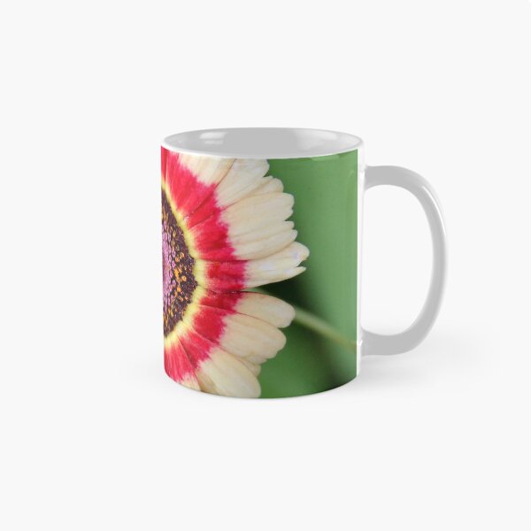 Item preview, Ganzebloem ( Chrysanthenum Carinatum ) designed and sold by JoseLok.