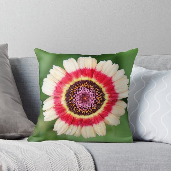 Item preview, Ganzebloem ( Chrysanthenum Carinatum ) designed and sold by JoseLok.