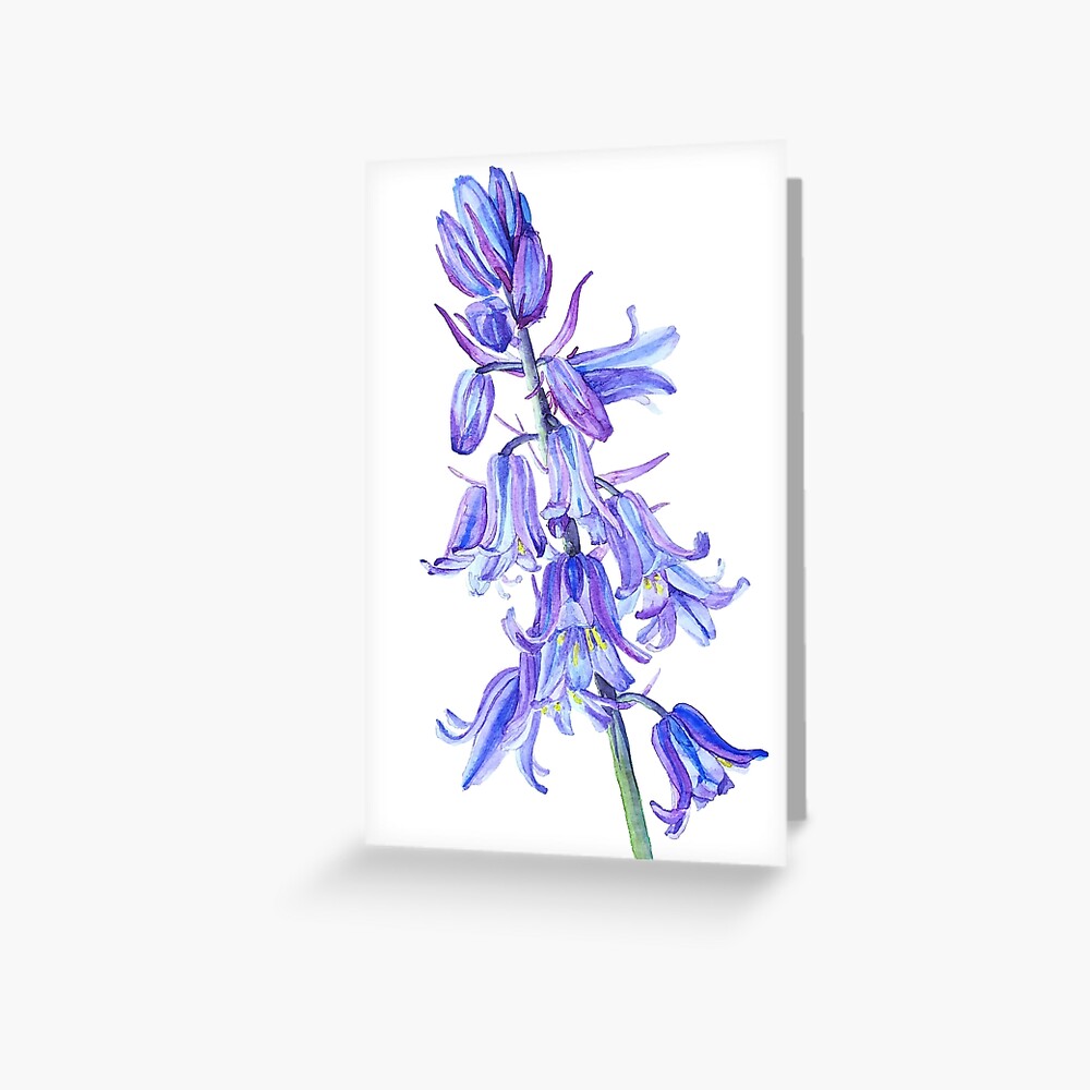 Botanical greeting card Bluebell Language of flowers Good Luck