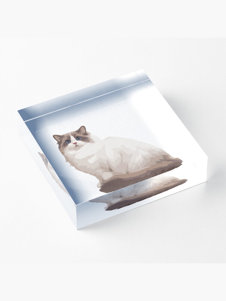 Alternate view of Ragdoll kitty Blue bicolor Acrylic Block