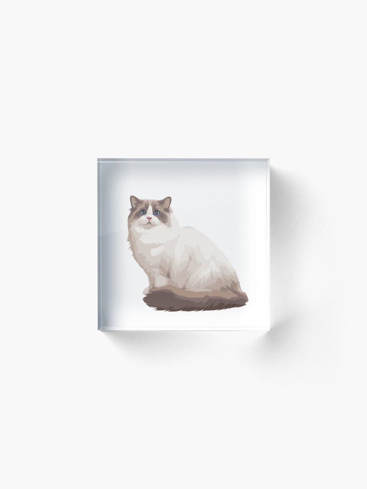 Alternate view of Ragdoll kitty Blue bicolor Acrylic Block