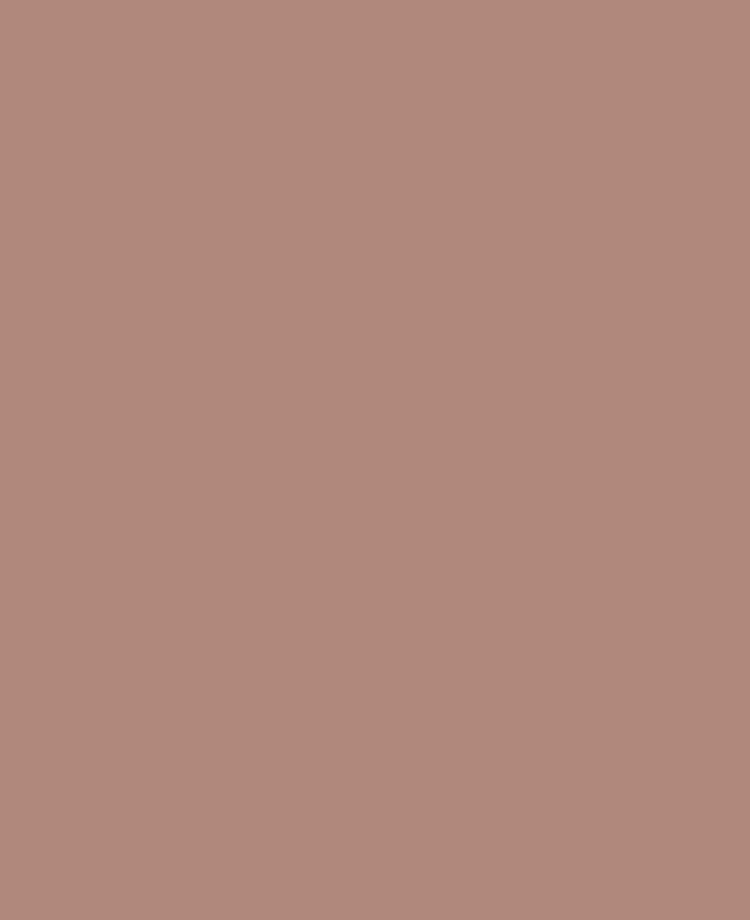 Dark Pastel Rose Pink Solid Color Inspired by Valspar Canyon Earth 1007-9C