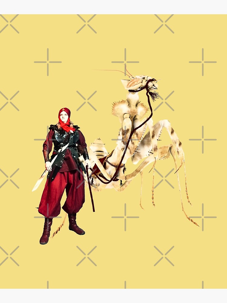 the dromedary by cglightNing
