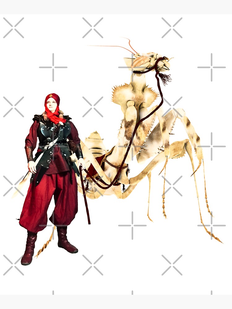 the dromedary by cglightNing