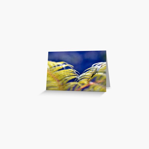 Tree fern Greeting Card