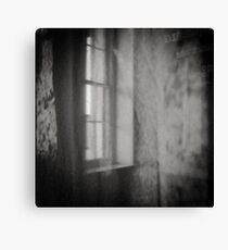 Tracery Canvas Print
