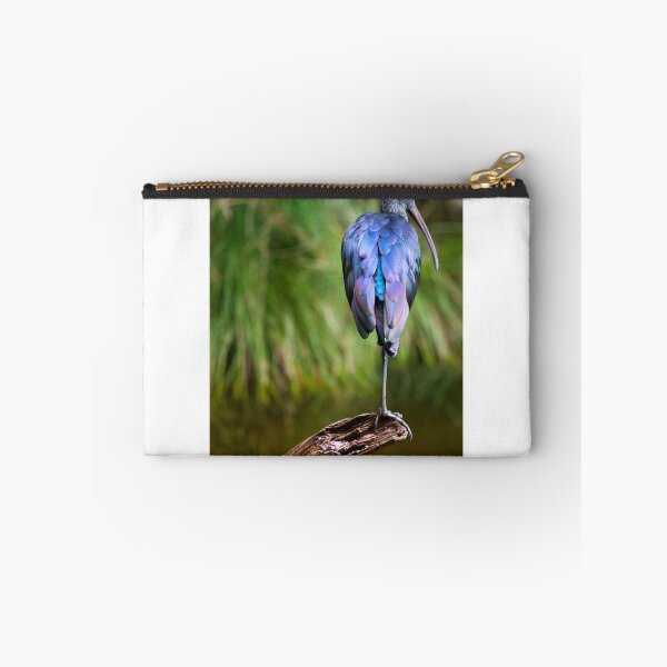 Item preview, Balancing Act, Glossy Ibis, Western Australia designed and sold by Marc Russo.