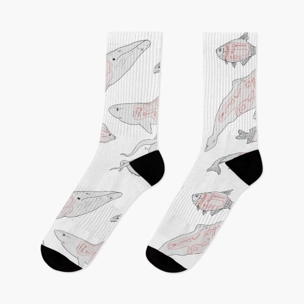 Item preview, Fish Anatomy  designed and sold by Aurora Danenbarger.