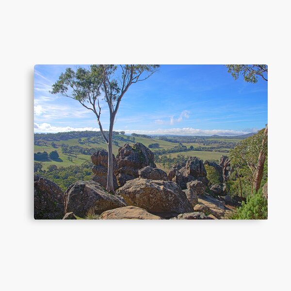 Picnic At Hanging Rock Canvas Print