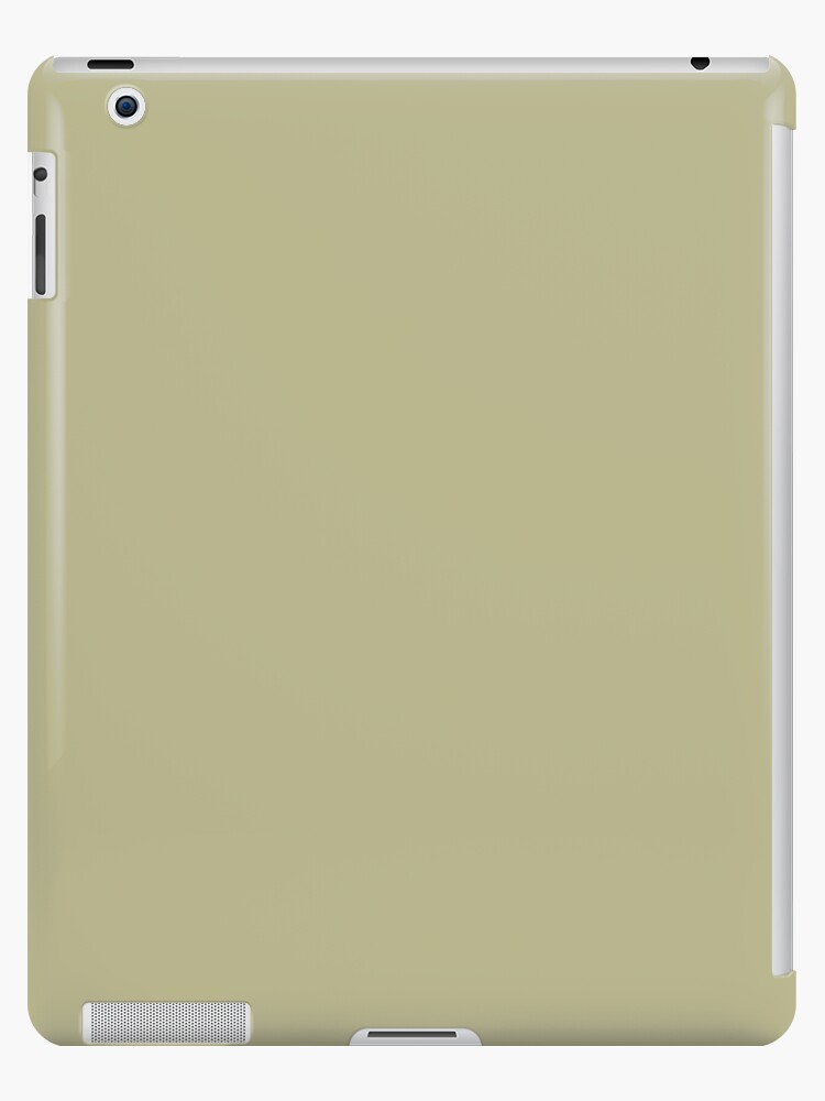 Earthy Mid Tone Pastel Green Solid Color Inspired By Behr Back To Nature 2020 Color Of The Year Ipad Case Skin By Simplysolid Redbubble