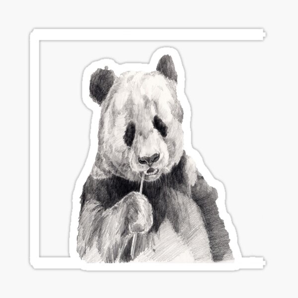 Papa bear, Howdy, Hi there, Hello, Hey, Cute bear digital artwork