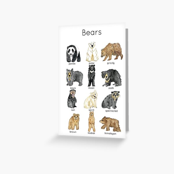 Bears ID Greeting Card