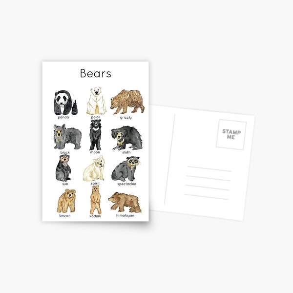 Bears ID Postcard