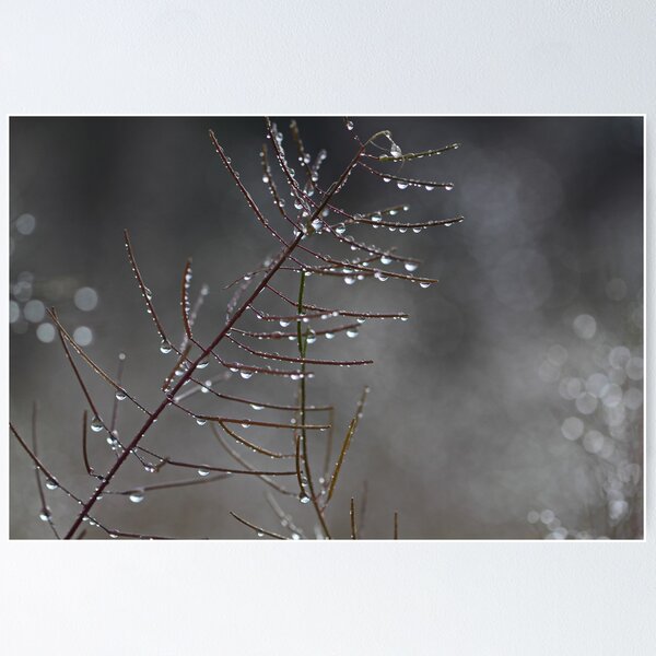 Item preview, Water Drops designed and sold by KansasA.