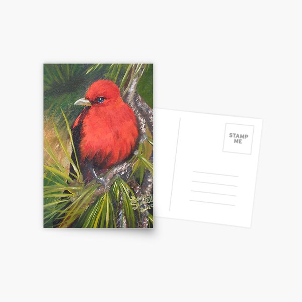 Scarlet Tanager--A Study of Wild Birds Postcard