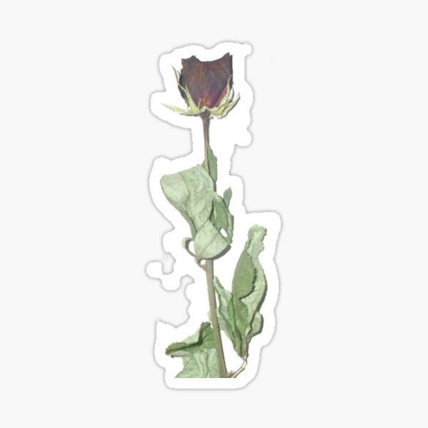 A Rose By Any Other Name Sticker