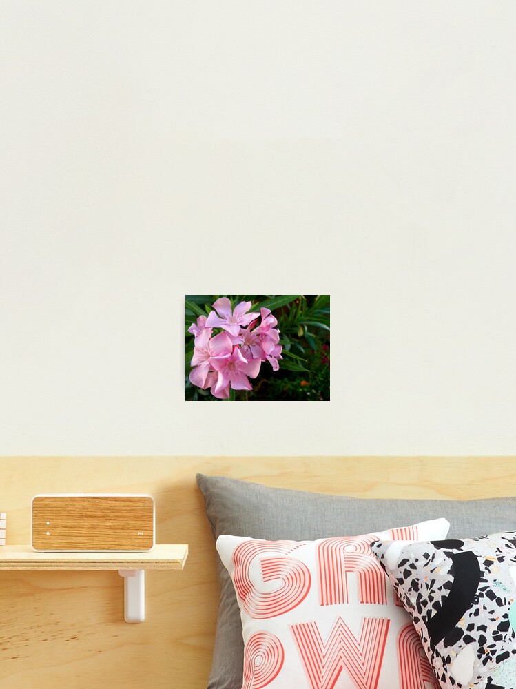 Thumbnail 2 of 3, Photographic Print, designed and sold by Rachem.