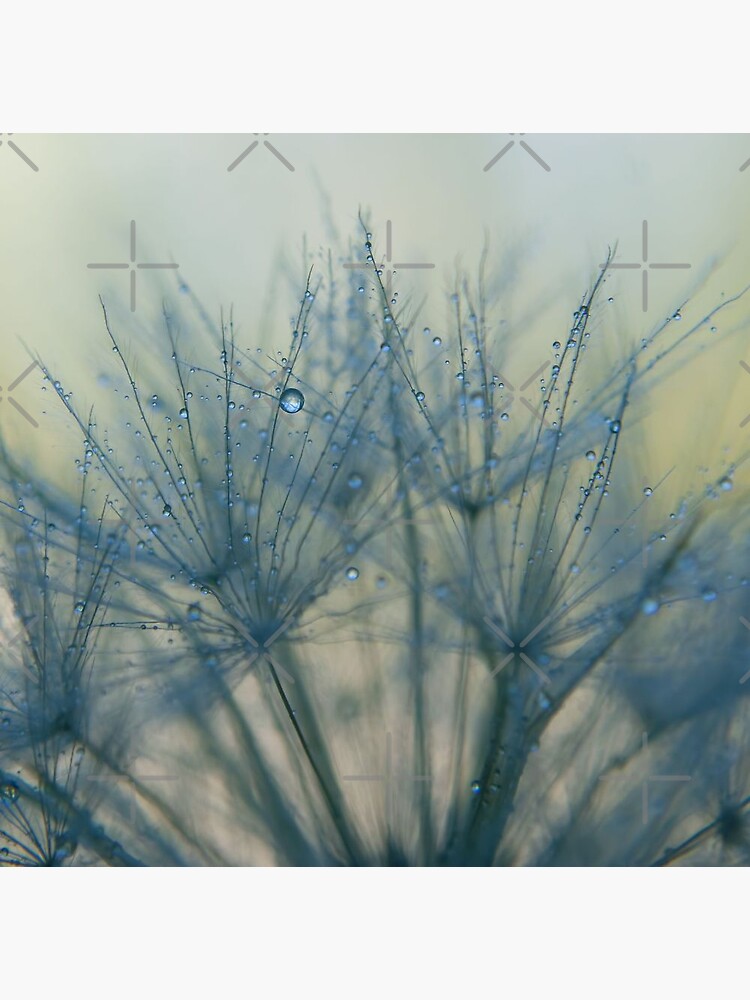morning blues by Ingz