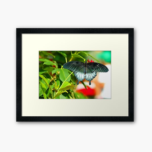 Item preview, Mermaid of the Air by Liane Pinel designed and sold by TheSpiritWithin.